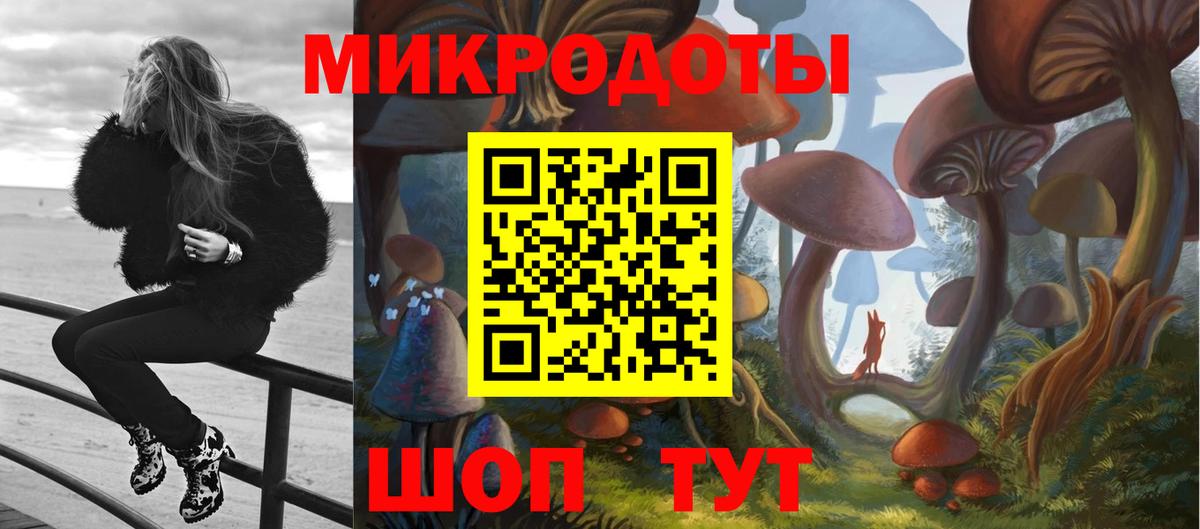 Озёрск  Галлюциногенные грибы мухоморы  Вход с VPN 